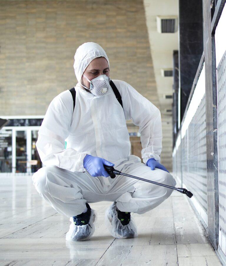 Licensed Vanguard Pest Control technician inspecting a home in the Greater Toronto Area.