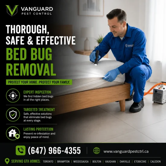 Professional bed bug exterminator treating a residential bedroom with eco-friendly sprays and traps, wearing Vanguard Pest Control uniform, in Toronto GTA home.